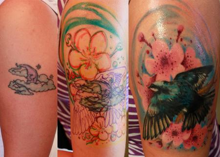 Steve Phipps - Tree Sparrow Cover Up